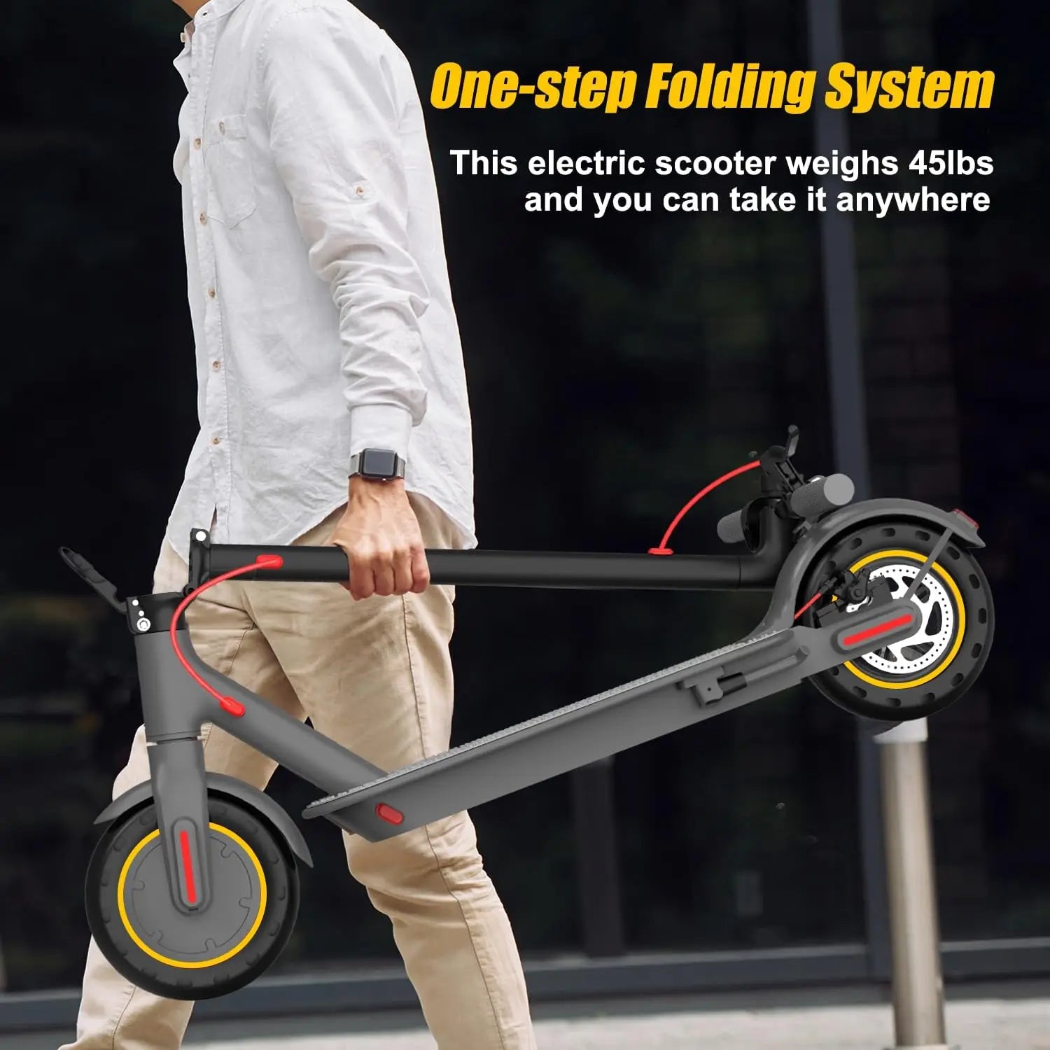 350W Electric Scooter for Adults