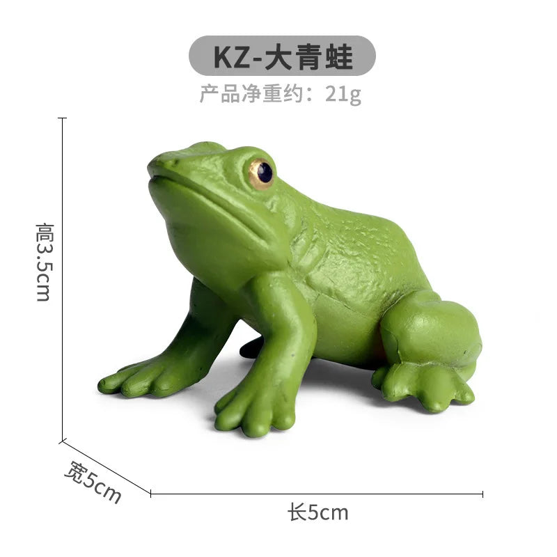 Children Animal Cognition Wild Animal Science and Education Toy Model Solid Palm Prayer Frog Ornament