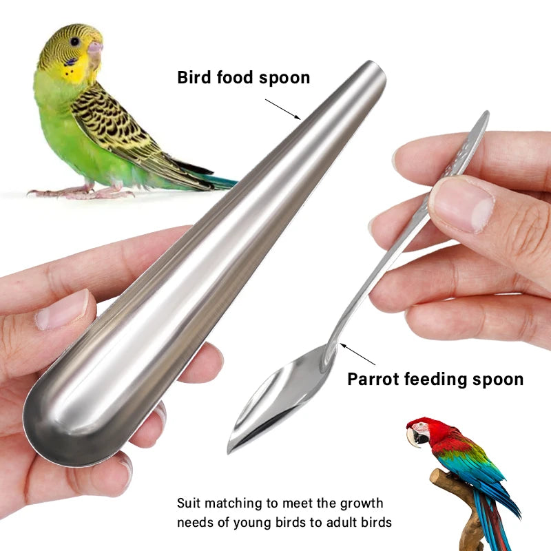 Bird Feeding Spoon Pet Bird Parrot Bird Cage Add Food Spoon Stainless Steel Feede Bird Food Spoon Feeding Bird Supplies