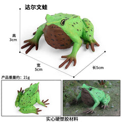 Children Animal Cognition Wild Animal Science and Education Toy Model Solid Palm Prayer Frog Ornament