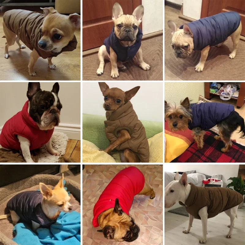 Pet Dog Vest Jacket Autumn Winter Warm Fleece Dog Coat Clothes