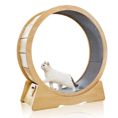 Durable Cat Wheel With With Carpeted Runway Noiseless Roller Safety Lock Easy To Install Daily Exercise Wheel For Cats