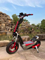 Power Electric Scooters With Display