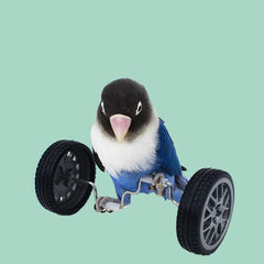 Toys Small And Medium-Sized Bird Supplies Roller Skateboard Skill Training Props Phoenix Bird Toys