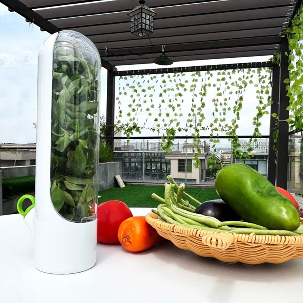 Multifunction Refrigerator Fruit Vegetable Herb Storage Container