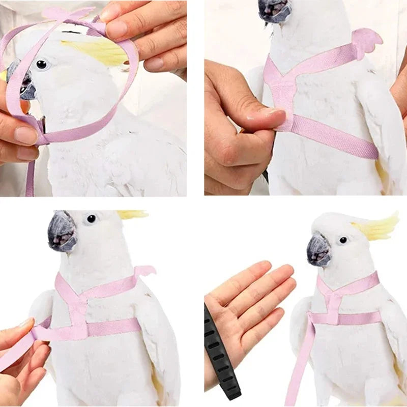 Parrot Flying Harness Leash Suit Pet Bird Outdoor Flight Training Rope Cockatiel Supplies Macaw Accessories  Stuff For Budgie