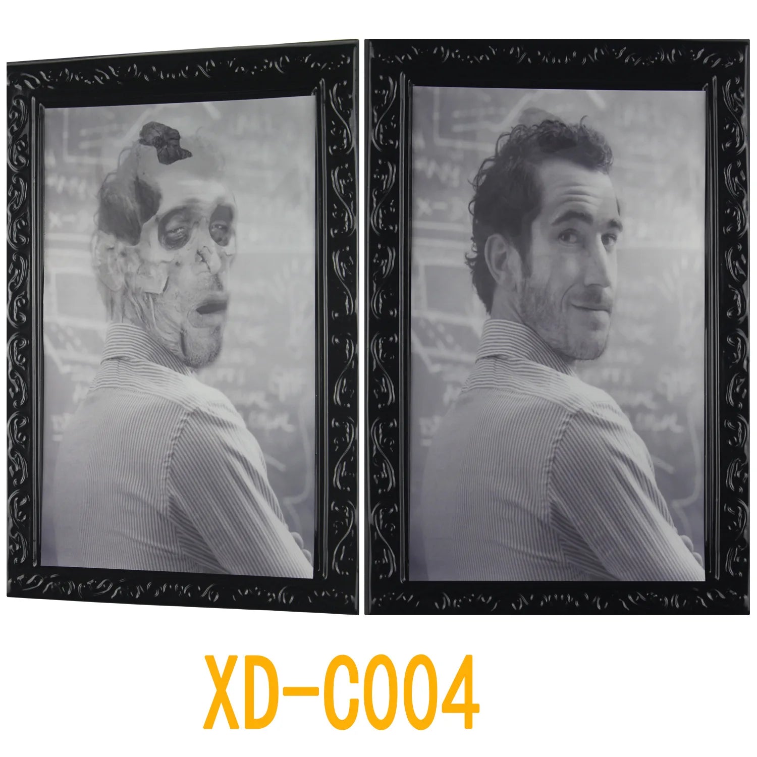 Halloween Decoration Changeable 3D Ghost Face Photo Frame Horror Portrait Picture