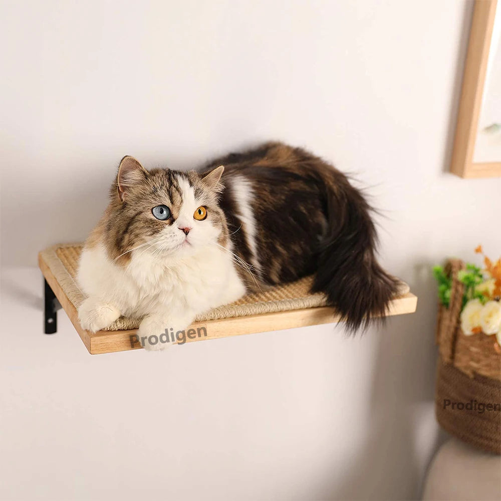 1 Piece Wall Mounted Cat Climbing Shelf Hammock Stairway For Indoor Cats Wooden Hanging Bed Scratching Post Pet Furniture Kitten