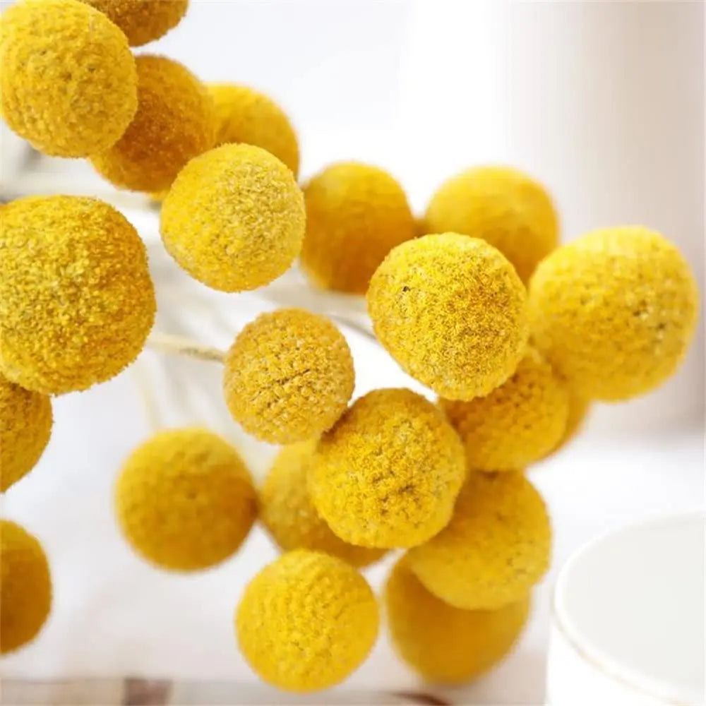 Artificial Dried Craspedia Flowers Fake Dried Billy Button Balls Flowers for Home Office