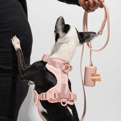 Portable Dog Poop Bag Carrier