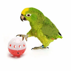 Pet Parrot Toy Colorful Hollow Rolling Bell Ball Bird Toy Parakeet Cockatiel Parrot Chew Cage Fun Toys Pet Bird Supplies