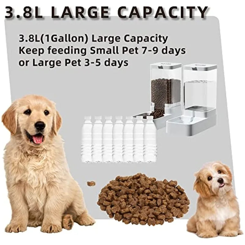 Automatic pet feeder drinking of small and medium-sized pets or cats