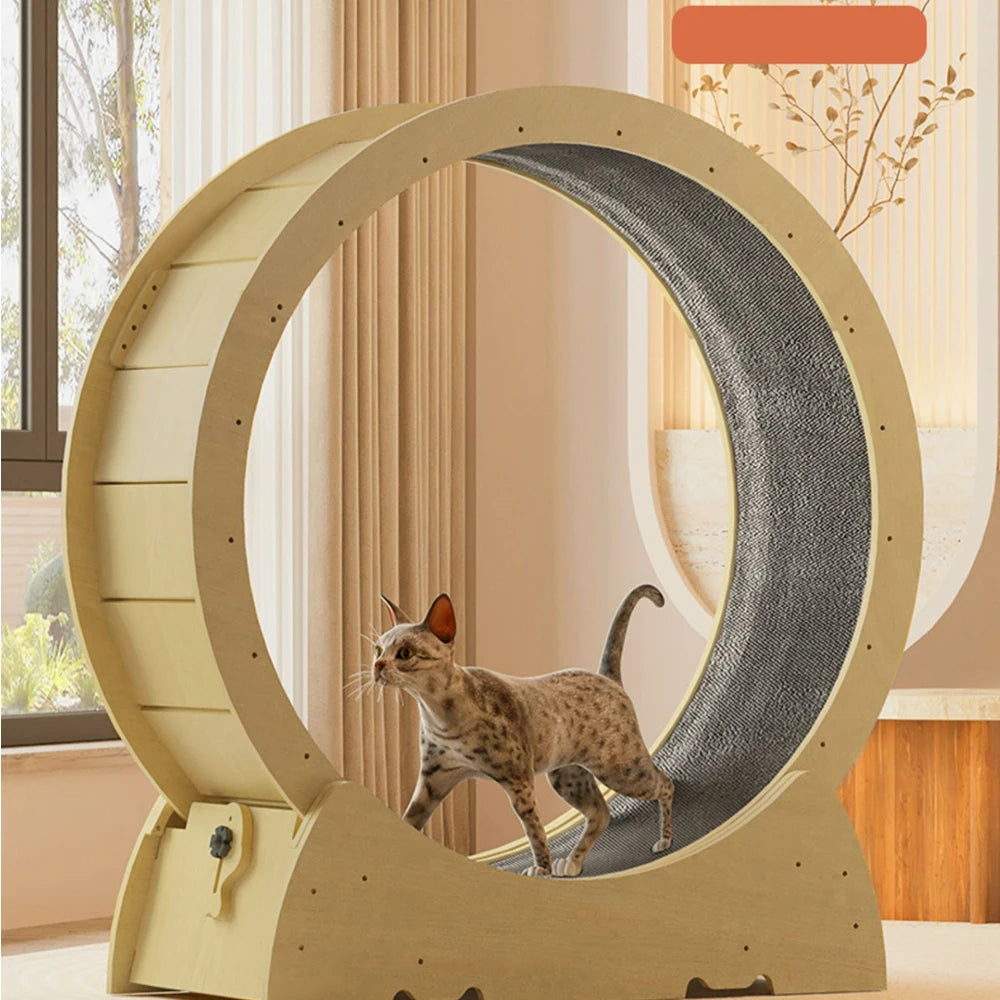 Durable Cat Wheel With With Carpeted Runway Noiseless Roller Safety Lock Easy To Install Daily Exercise Wheel For Cats