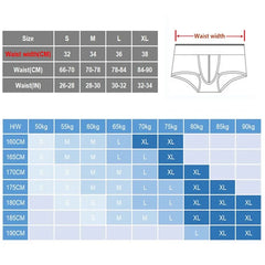 Men's Panties Ice Silk Male Underwear Boxer