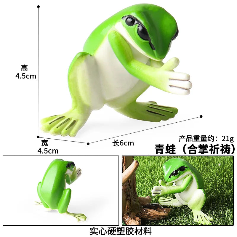 Children Animal Cognition Wild Animal Science and Education Toy Model Solid Palm Prayer Frog Ornament