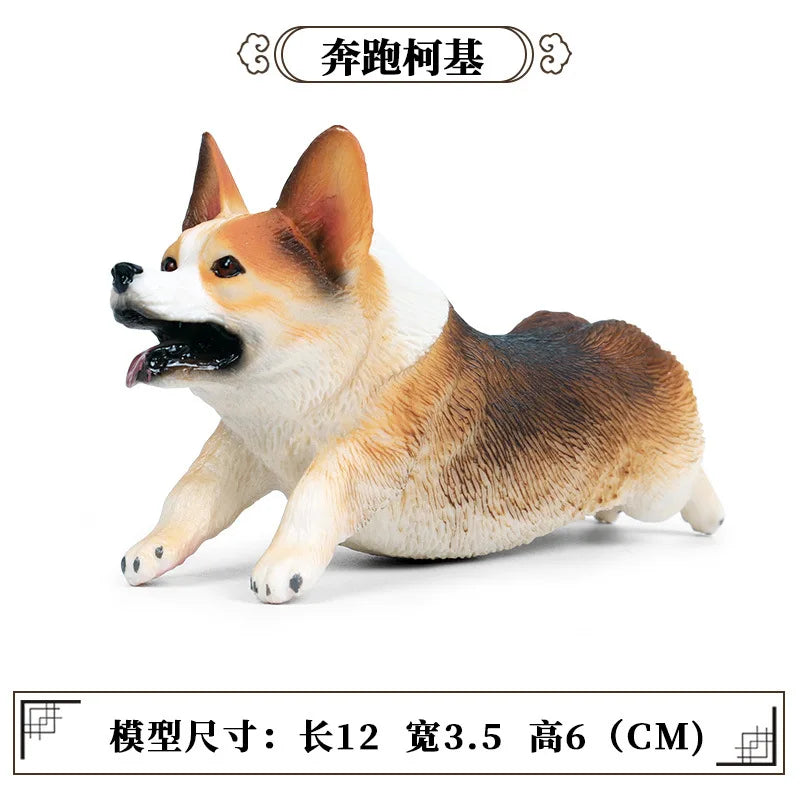 Children Solid Simulation Wild Animal Model Chaigou Corgi Pet Dog Model Gift Toy Cognitive Display