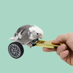 Toys Small And Medium-Sized Bird Supplies Roller Skateboard Skill Training Props Phoenix Bird Toys