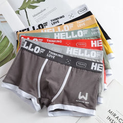 Men's Underwear BoxerShorts Men Underpants Cotton Men Boxers