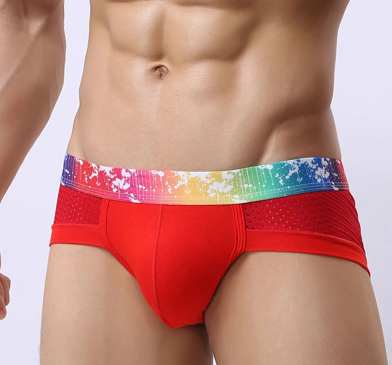 Men Fashion  Gay Classic Men's Briefs New Male Sleepwear Panties Low Waist Underpants Modal Underwears Briefs