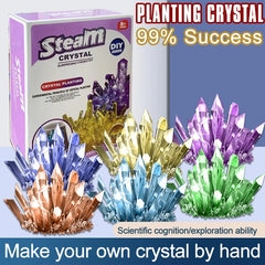 Crystal planting experiments, Science and education toys, DIY growable crystals