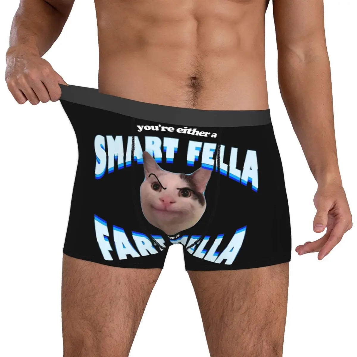 Men You're Either A Smart Fella Or A Fart Smella Boxer Briefs Shorts Panties