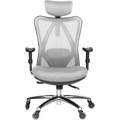 Office Chair with Lumbar Support and Rollerblade Wheels  Office Chairs