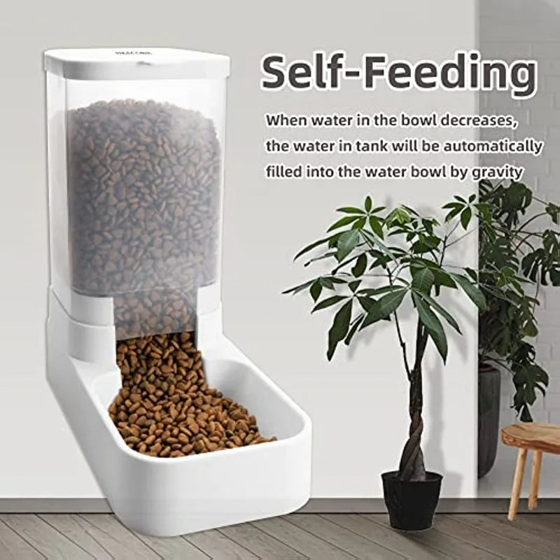 Automatic pet feeder drinking of small and medium-sized pets or cats