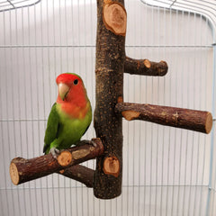 Pet Parrot Stand Solid Wood Standing Stick Pole Biting Molar Claw Grinding Toy Bird Cage Supplies