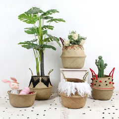 Wicker Basket Woven Seagrass for Plant Pot Organizer