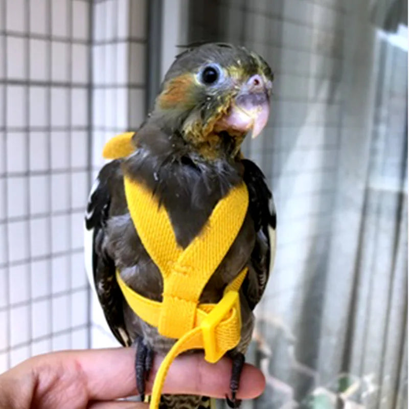 Adjustable Parrot Bird Harness Leash Set Anti-bite Training Harness Parrots Outdoor Flying Rope Cockatiel Small Birds Supplies