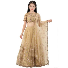 Party Wear Kids Dress Girl Lehenga Choli Designer Indian Festive Wear