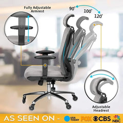 Office Chair with Lumbar Support and Rollerblade Wheels  Office Chairs