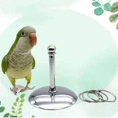 Bird Parrots Interactive Training Toys Intelligence Development Stacking Metal Ring Training Sets Birds Supplies Pet Accessories