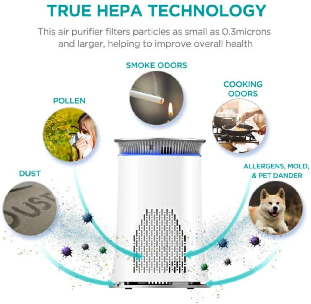 Air Purifier with True HEPA Technology for Home