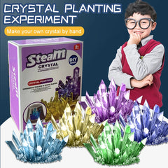 Crystal planting experiments, Science and education toys, DIY growable crystals