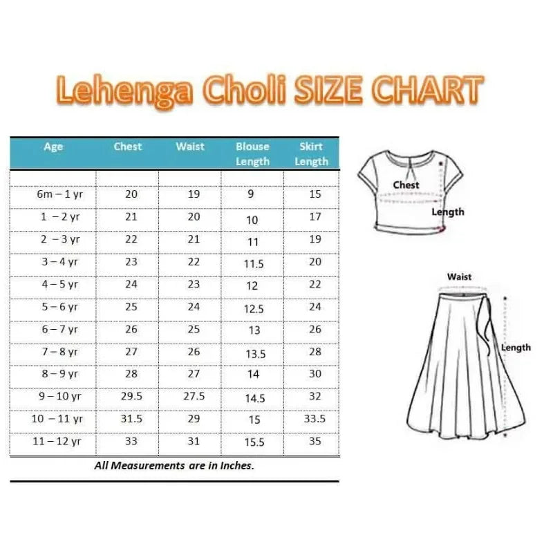 Girls Stitch Lehenga Choli Floral Pattern Round Neck Short Sleeve Party Wear Kids Dress