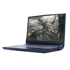 FIREBAT T9C 16.1 Inch Intel i5-11400 RTX 3070 DDR4 M.2 16G RAM 512GB SSD 144Hz Wifi6 BT5.1 Gaming Notebook Laptop