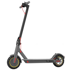 350W Electric Scooter for Adults