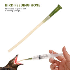 5pcs Bird Feeding Dropper Hose Small Pet Feeder Water Needle Tube Liquid Injection