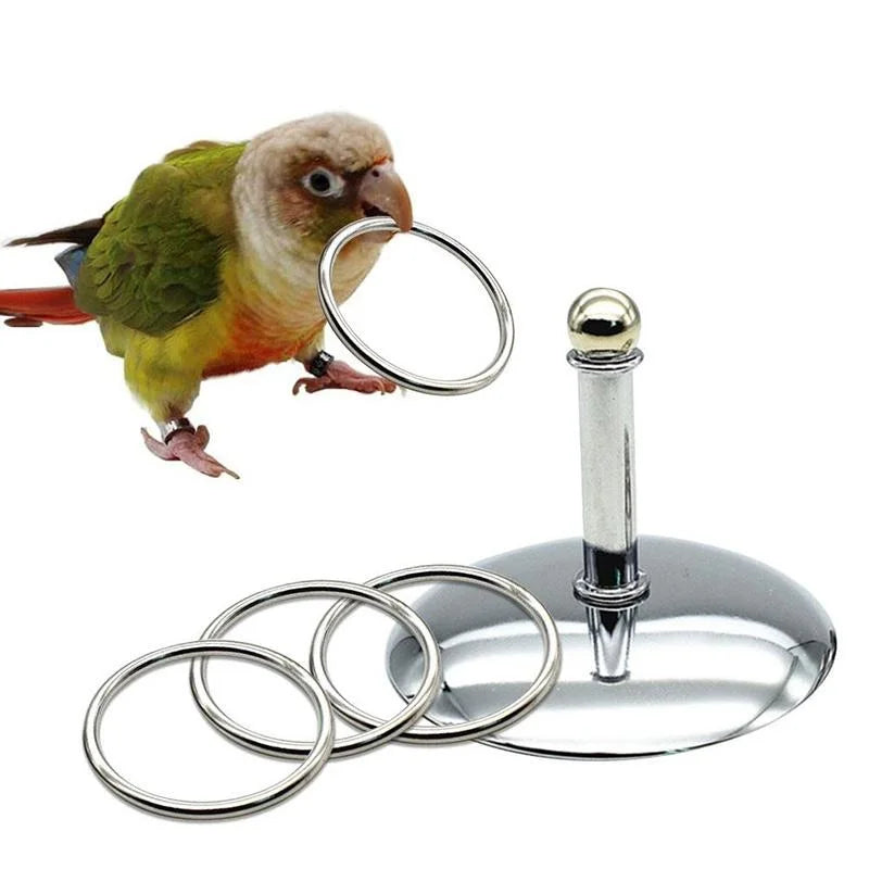 Bird Parrots Interactive Training Toys Intelligence Development Stacking Metal Ring Training Sets Birds Supplies Pet Accessories