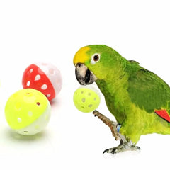 Pet Parrot Toy Colorful Hollow Rolling Bell Ball Bird Toy Parakeet Cockatiel Parrot Chew Cage Fun Toys Pet Bird Supplies