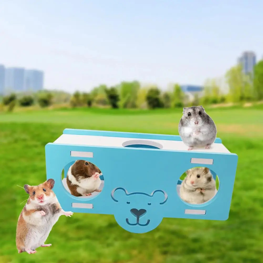 Practical Hamster Climbing Toy