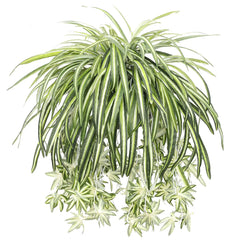 Artificial Plants Chlorophytum Hanging Basket Fake Plant Outdoor