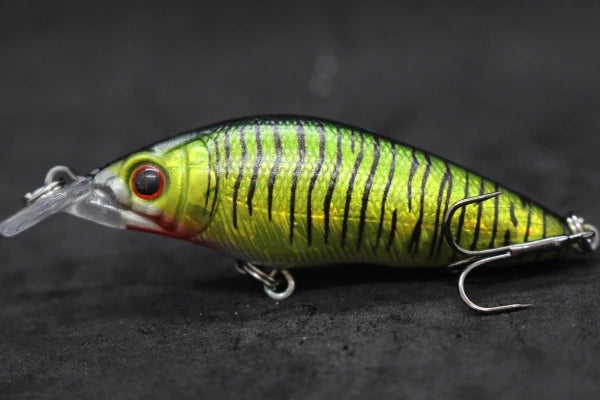 Swimming Action Short Body #6 Hook Insect Bait Fresh Water 3D Hard Eyes M583