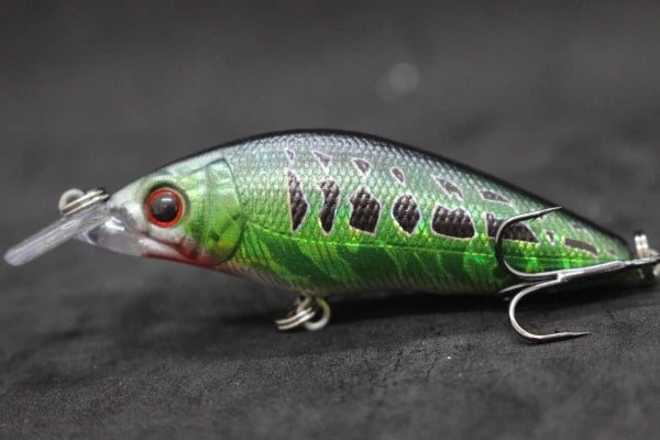 Swimming Action Short Body #6 Hook Insect Bait Fresh Water 3D Hard Eyes M583