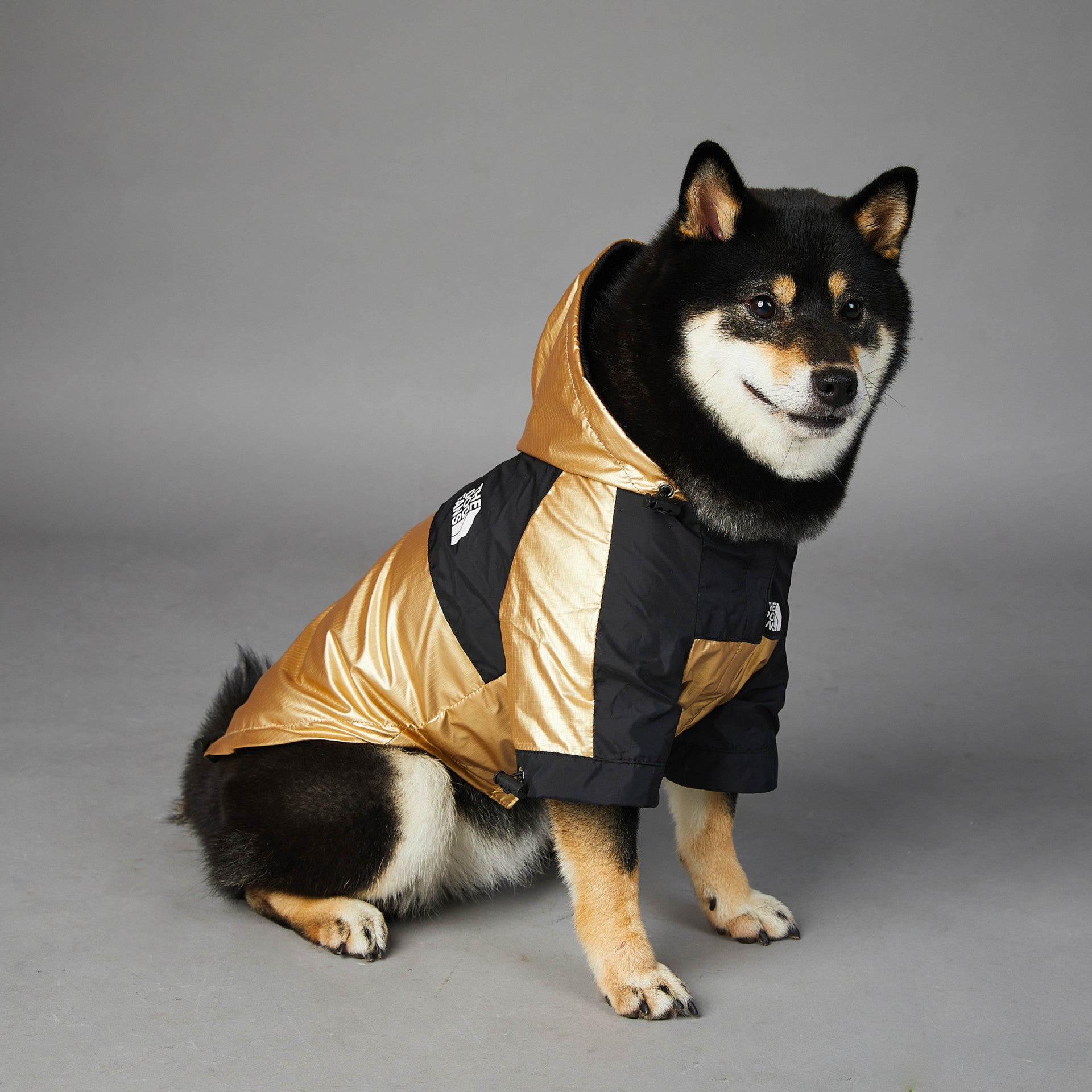 Dog Raincoat Pet Jacket