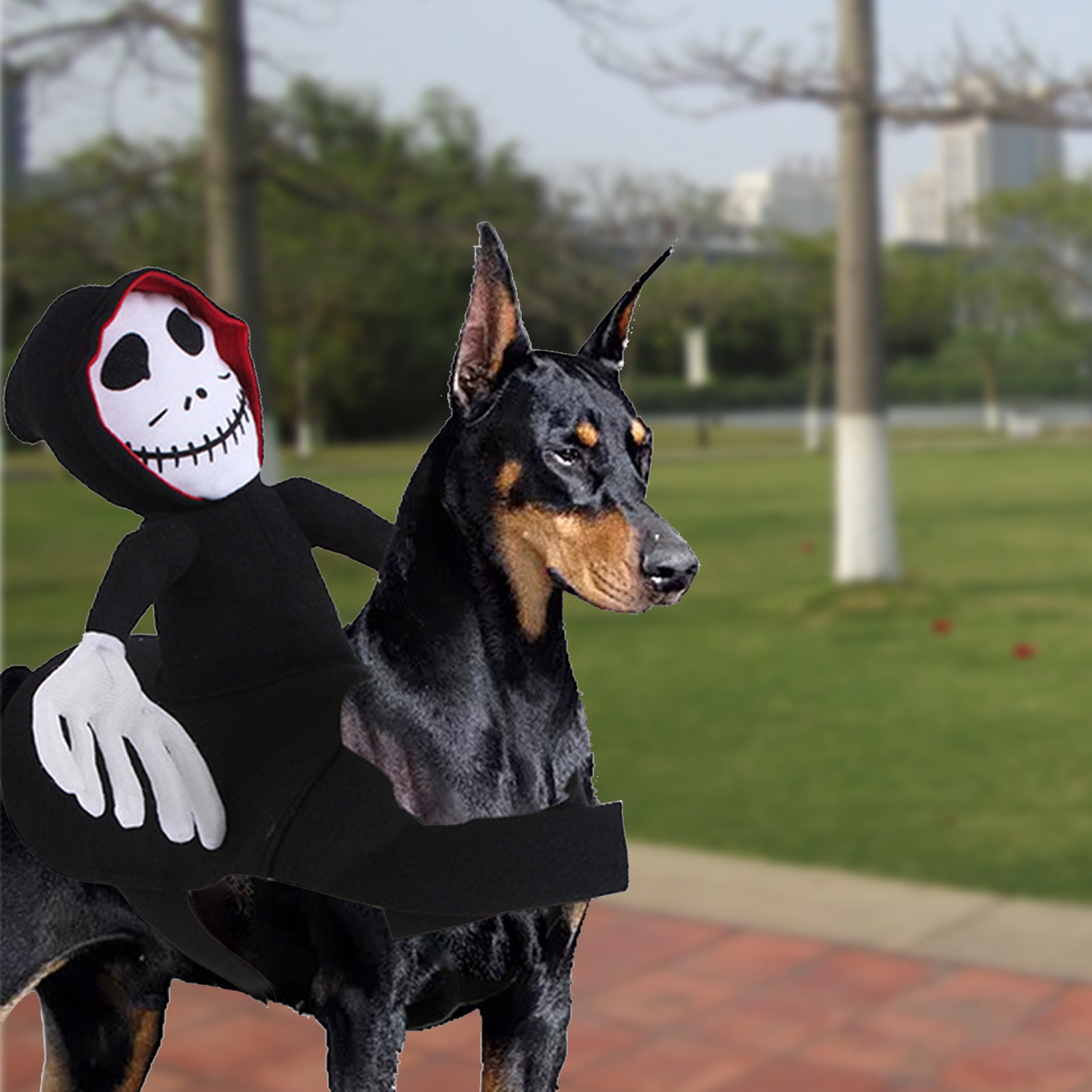 Halloween Pet Decoration Dress