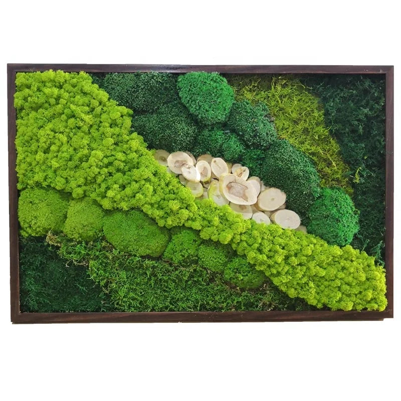 Shling Wall Art Frame Shling Wall Art Frame