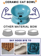 Elevated Cat Food Bowl